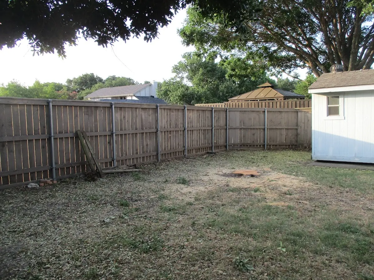 Cleared yard after professional tree removal in Valley Center